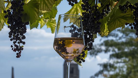 Private Etyek wine tour and dinner with Danube River evening cruise