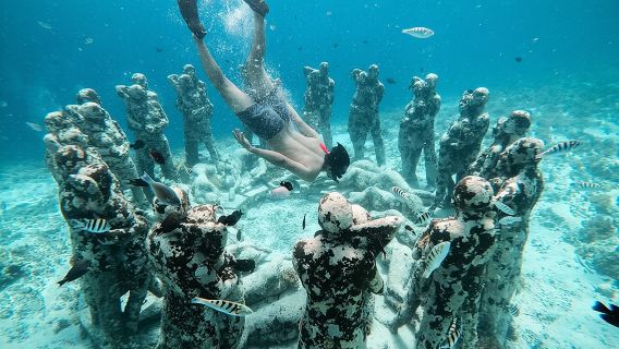 Private Snorkeling Gili Island Including GoPro Camera