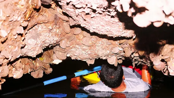 Featured tour starting at 4023 THB: John Gray’s Adventure Hong by Starlight in Phang Nga Bay