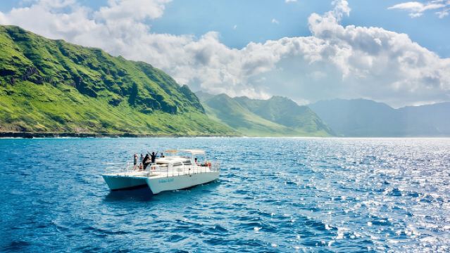 Oahu: Swim with Dolphins on the West Coast