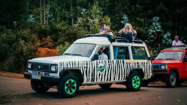 Half-Day Small-Group Madeira Village Safari from Funchal