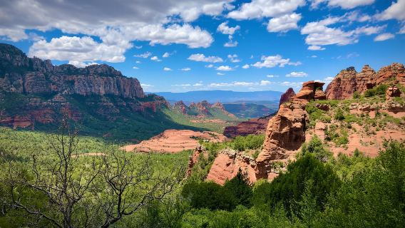 From Phoenix: Full-Day Sedona Small-Group Tour