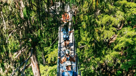 Whistler: Ziplining Experience