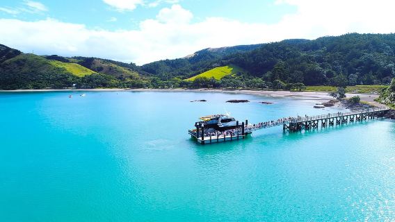 โอ๊คแลนด์: เรือเฟอร์รี่ Man O' War Vineyard (เกาะ Waiheke)