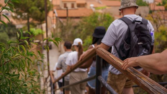 Из Пафоса: однодневная экскурсия в горы и деревни Троодос