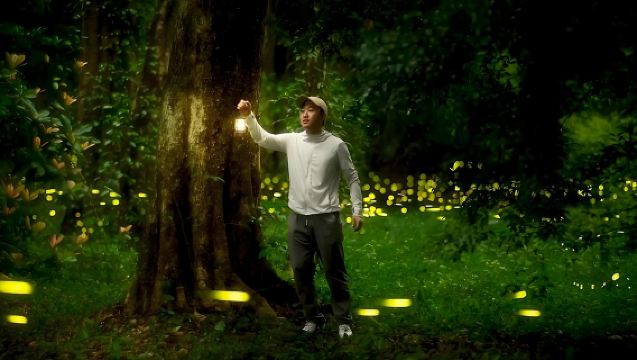 [Satu Pesanan Satu Kenderaan] Lawatan Sehari Taman Etnik Dai Xishuangbanna + Taman Botani + Lawatan Malam Kunang-Kunang