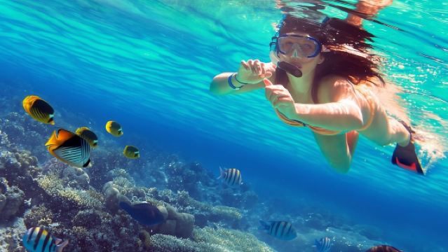 スリランカ・トリンコマリーで体験ダイビング&シュノーケリング2時間【トリンコマリー珊瑚島シュノーケリング体験、初心者向け】