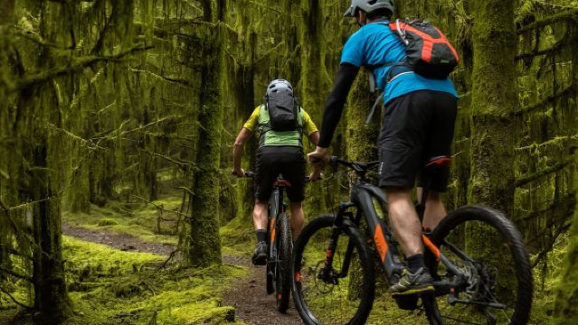 Castlewellan:Electric Mountain Biking Escape