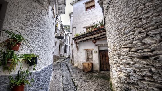 From Granada: Day Trip to Trevélez with Ham Factory