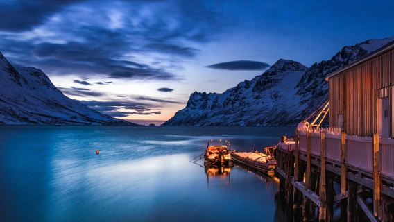 Tromsø: Sommarøy Adaları & Arktik Fiyortlar Turu + Yöresel Yemek