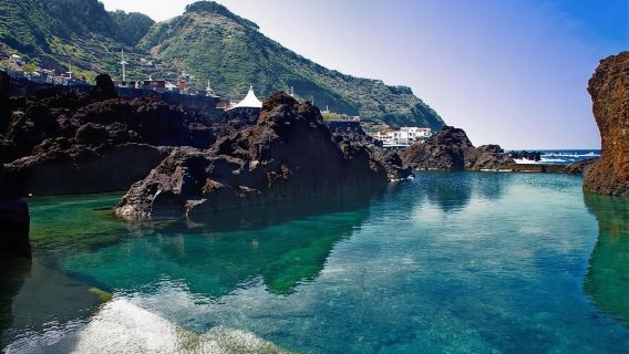 마데이라: 카마라 드 로보스(Câmara de Lobos), 피코 다 토레(Pico da Torre) & 포르토 모니즈(Porto Moniz) 투어