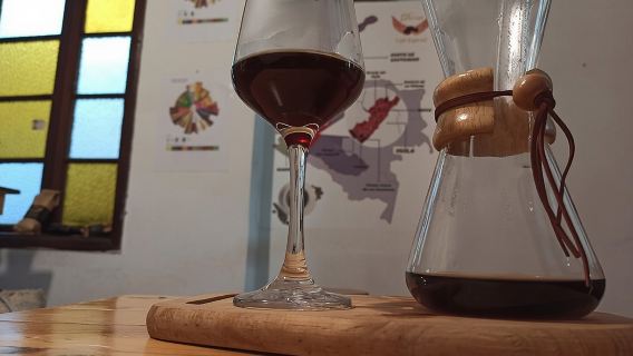 Coffee tasting experience at Divino Café Especial