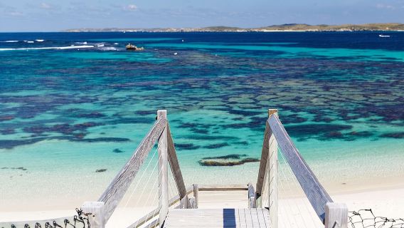 Billete de ferry de ida y vuelta de Perth a la isla Rottnest