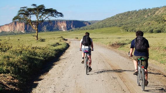 Hell's Gate Guided Tour with Option Boat Ride at Lake Naivasha