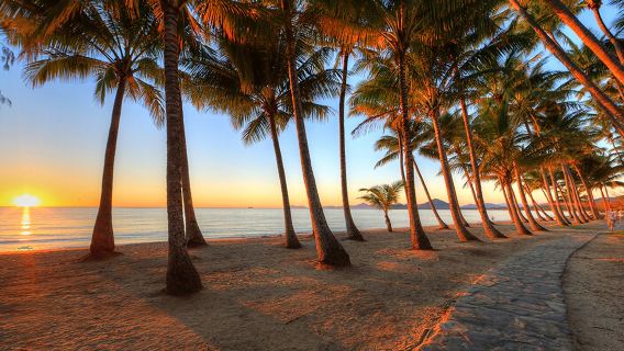 Cairns Daintree Rainforest + Mossman Gorge Cultural Centre 1-day tour (Chinese small group | optional wildlife park)