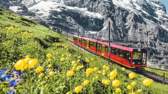 瑞士因特拉肯少女峰一日遊【蘇黎世＋琉森＋因特拉肯出發】