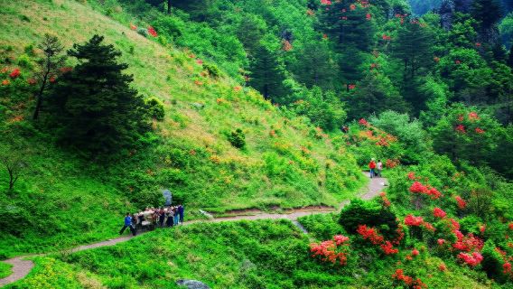 杭州+宣城徽杭古道健行一日遊@