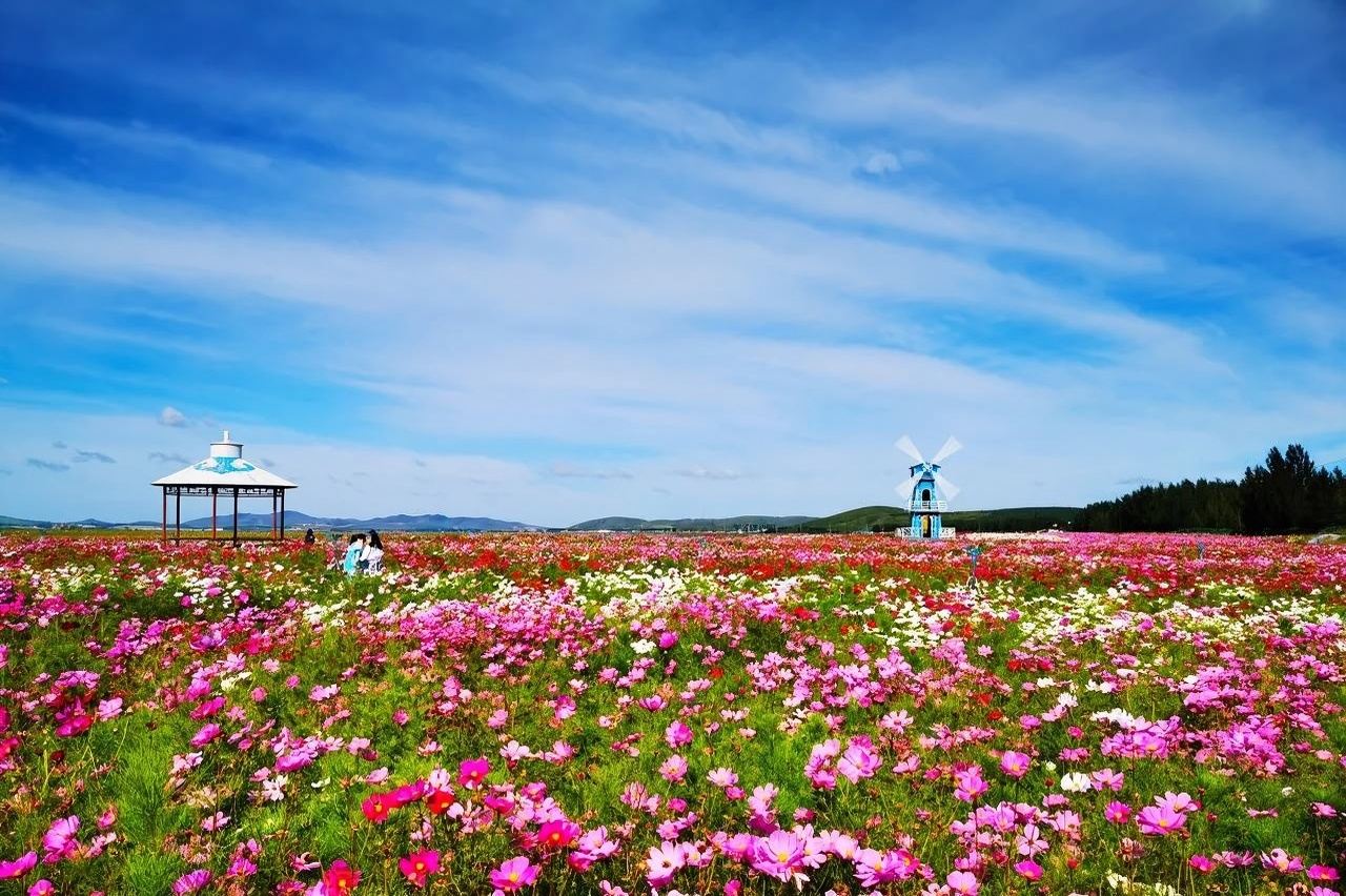 Chengde Citywalk, Translation/Guide/Local Guide|Exhibition Translation/Business Translation|Attraction visits|English//Other Languages|Welcome to inquire