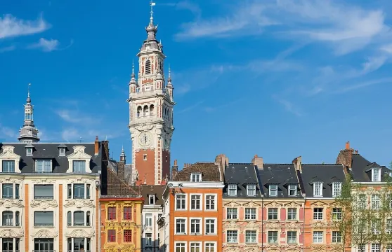 里爾舊城區導賞步行團