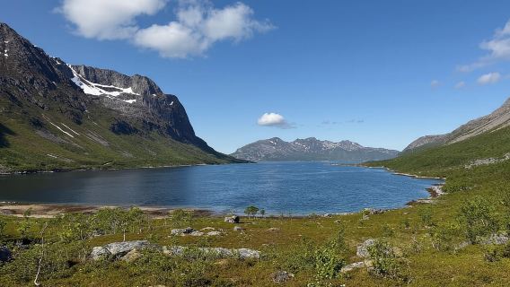 Tromsø: Excursión de un día a los fiordos e islas árticas (grupo reducido)