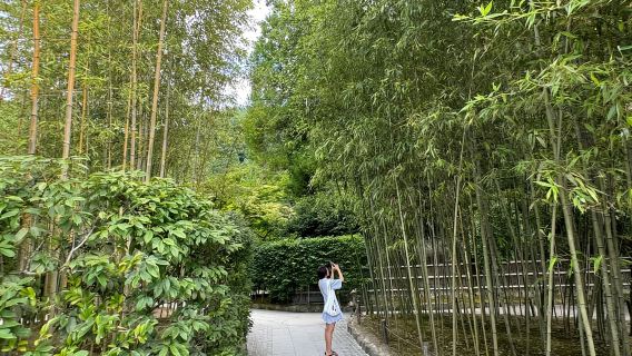 Kyoto: Temukan Kinkaku-ji dan Ginkaku-ji dalam Satu Tur