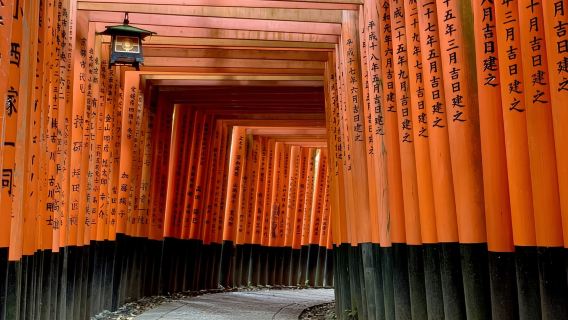 Verborgene Geheimnisse von Fushimi Inari: Bambuspfade und Sake-Dorf
