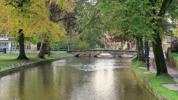 Vanuit Londen: begeleide dagtrip naar de Cotswolds per luxe touringcar