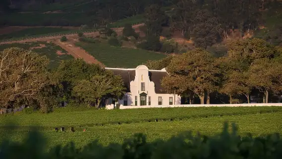 เคปทาวน์: ทัวร์รถเอทีวีส่วนตัว ไวน์ และเพชร