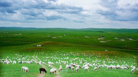 Abfahrt von Manzhouli, Hulunbuir Grassland und Manzhouli Matryoshka Scenic Area, Eintägige Tour mit chinesischer Gruppe