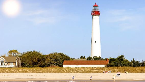 Cape May: Weekend Whale and Dolphin Watching Cruise