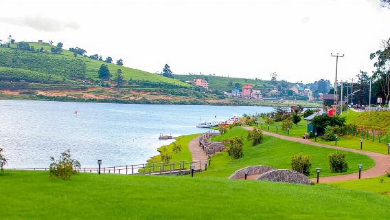 Nuwara Eliya: excursión de un día a la región montañosa de Sri Lanka desde Kandy
