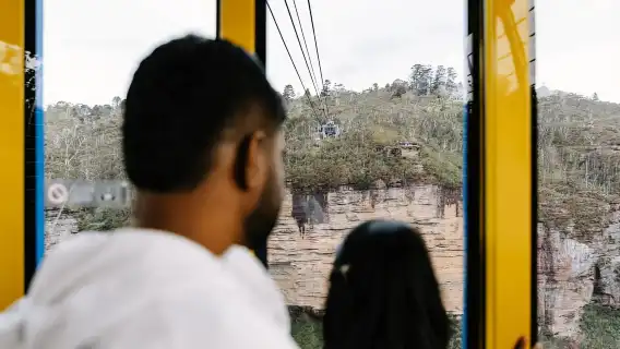 雪梨：藍山風景世界、野生動物園和午餐