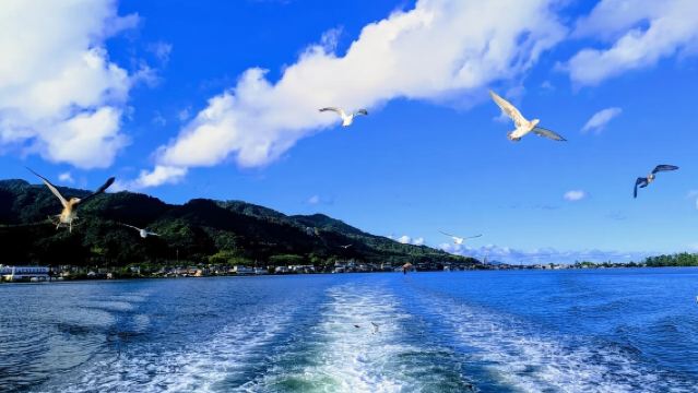 【日本大阪】大阪城公園+四天王寺+通天閣+梅田藍天大廈一日遊