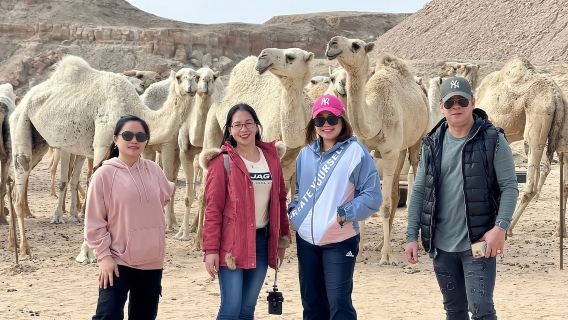 Kuwait Quadbiking with Dune Bashing