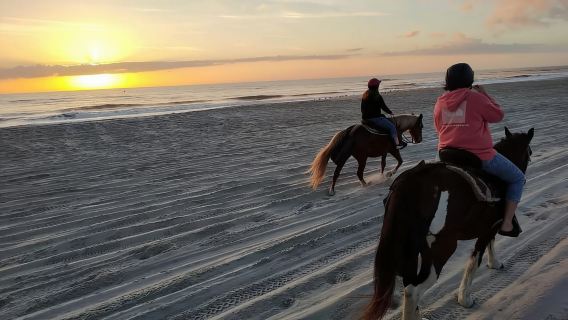 Amelia Island: passeggiata a cavallo mattutina o serale sulla spiaggia