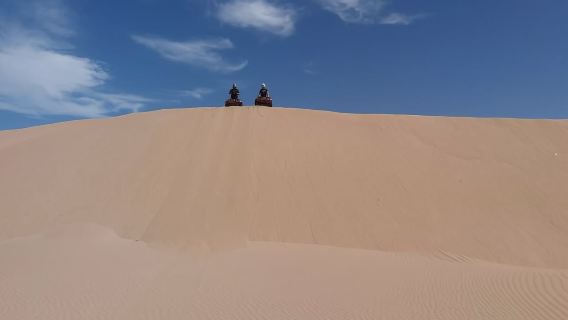 Essaouira P12: 1-stündige Quad-Tour und 1-stündiger Dromedarritt