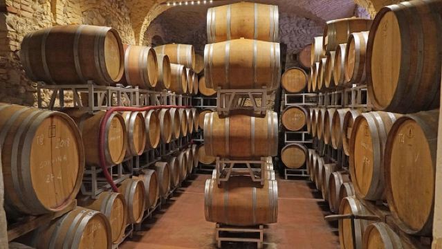 Lazise: Historical Center Wine Tasting Tour