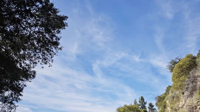 美國洛杉磯格里菲斯公園+加州迪士尼樂【中文專車包車出行】