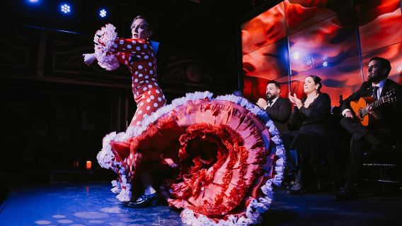 L'Expérience Premium au Teatro Flamenco Málaga