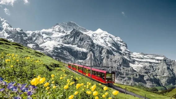 瑞士少女峰一日遊【蘇黎世出發 | 少女峰+葛林戴包車團】