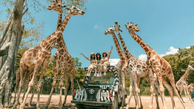 Safari Park Kanchanaburi
