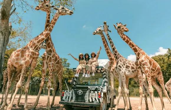 北碧府野生動物園一日遊【諮詢客戶服務支援預約長頸鹿互動】