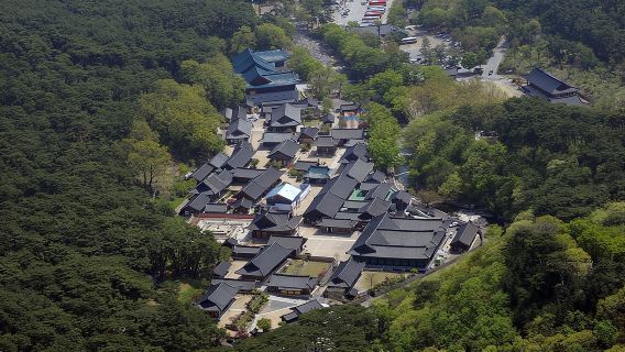 UNESCO Tongdosa Temple + Gourmet Eonyang Style Bulgogi Lunch