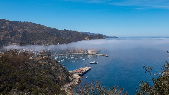 2-stündige Insider-Abenteuertour auf Catalina Island