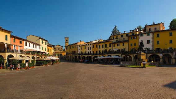 Privater Tagesausflug in die Weinregion Siena & Chianti mit Weinprobe ab Florenz