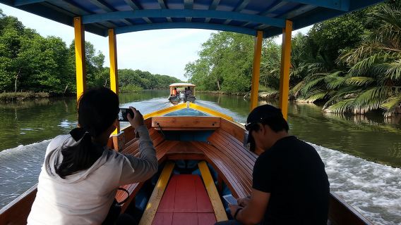 Private Proboscis Monkey Tour