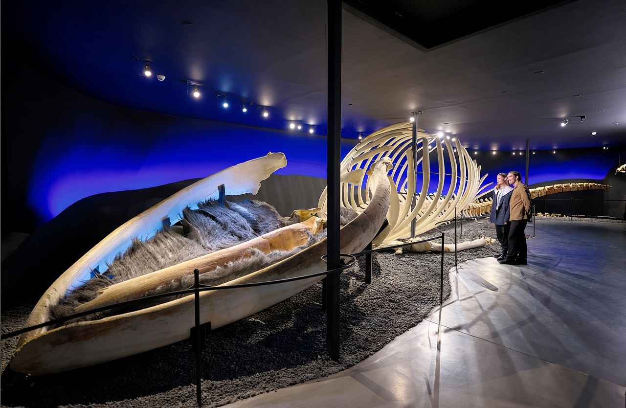 Iceland + Husavik + Húsavík Whale Museum + Myvatn + Krafla