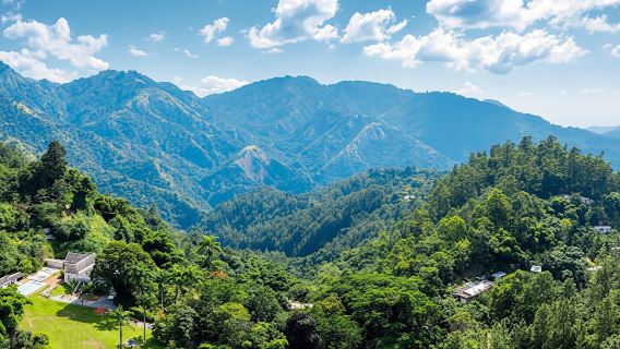 Tour di Kingston e delle Blue Mountains