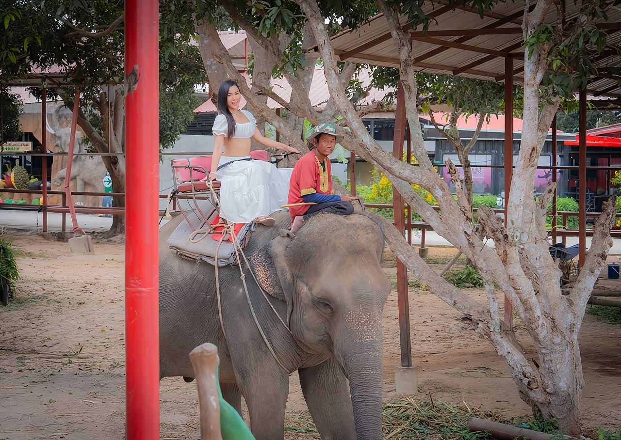 Miracolo degli Elefanti: Mezza giornata con i cuccioli di elefante al parco divertimenti
