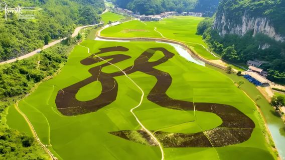 貴州貴陽：黃果樹瀑布+龍宮|包車定制一日遊